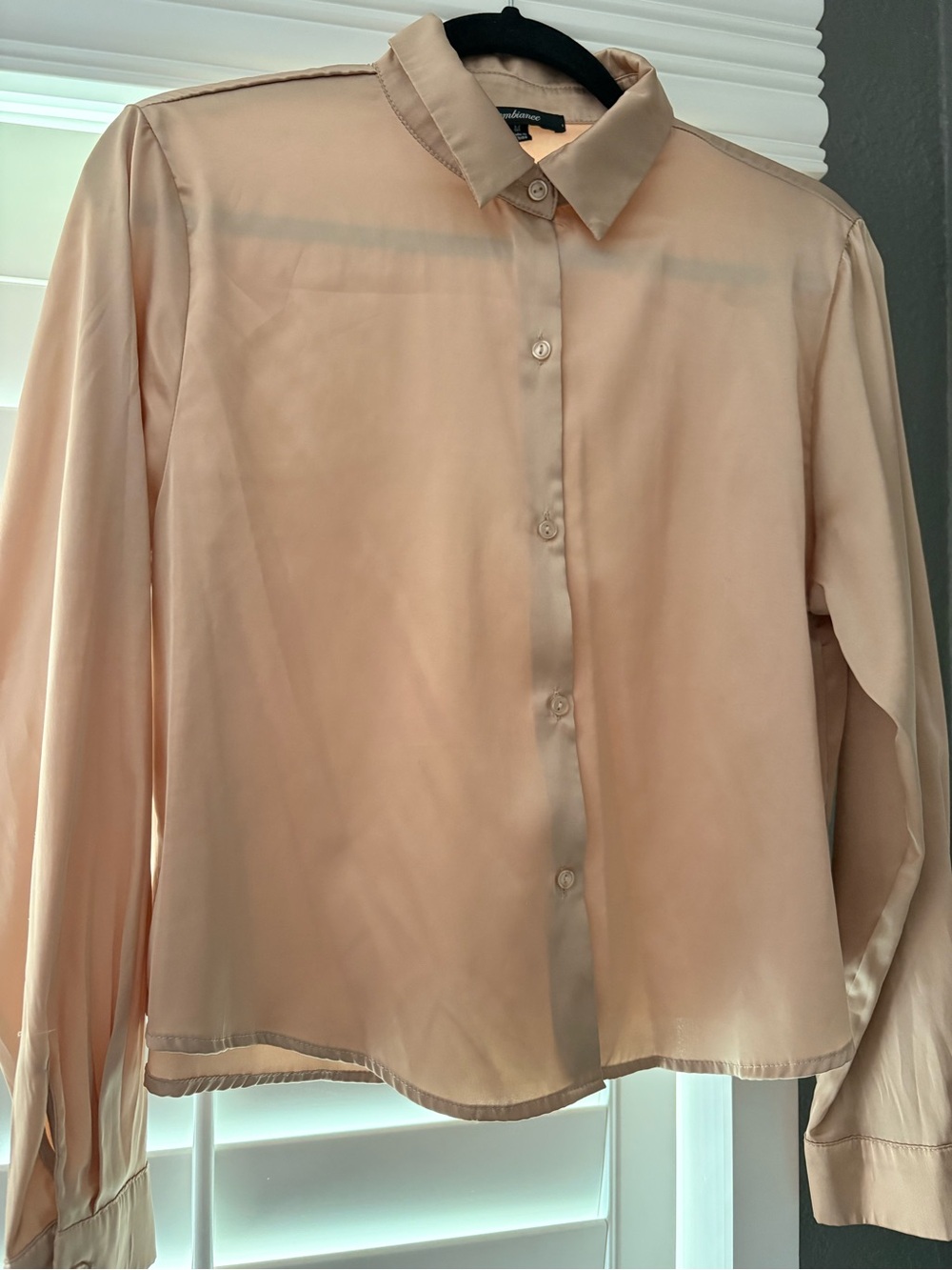 Ambiance Peach Satin Button-Down Blouse